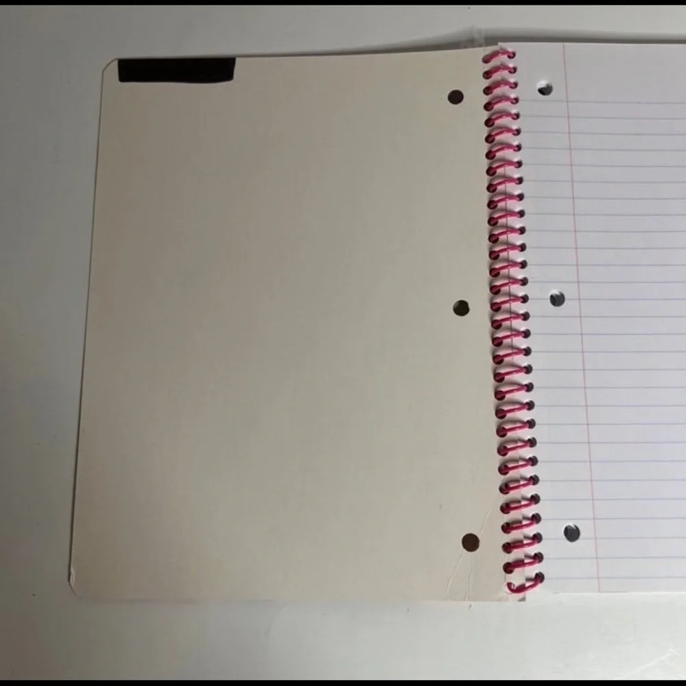 Lisa Frank Notebook